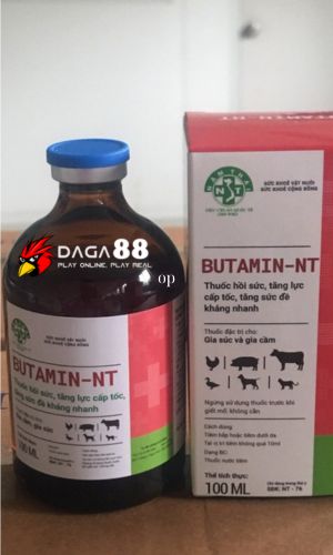 Butamin-NT là một trong những thuốc nuôi gà đá tốt nhất