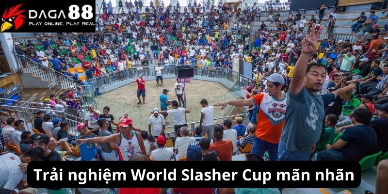 Trải nghiệm mãn nhãn với trận đấu thuộc World Slasher Cup